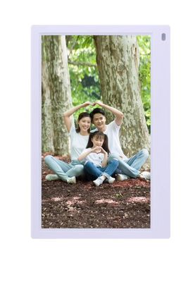 12.5'' LCD Monitor Digital Photo Frame 1920*1080P HDMI IPS Screen 12V 2A Black / White